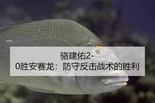 骆建佑2-0胜安赛龙：防守反击战术的胜利